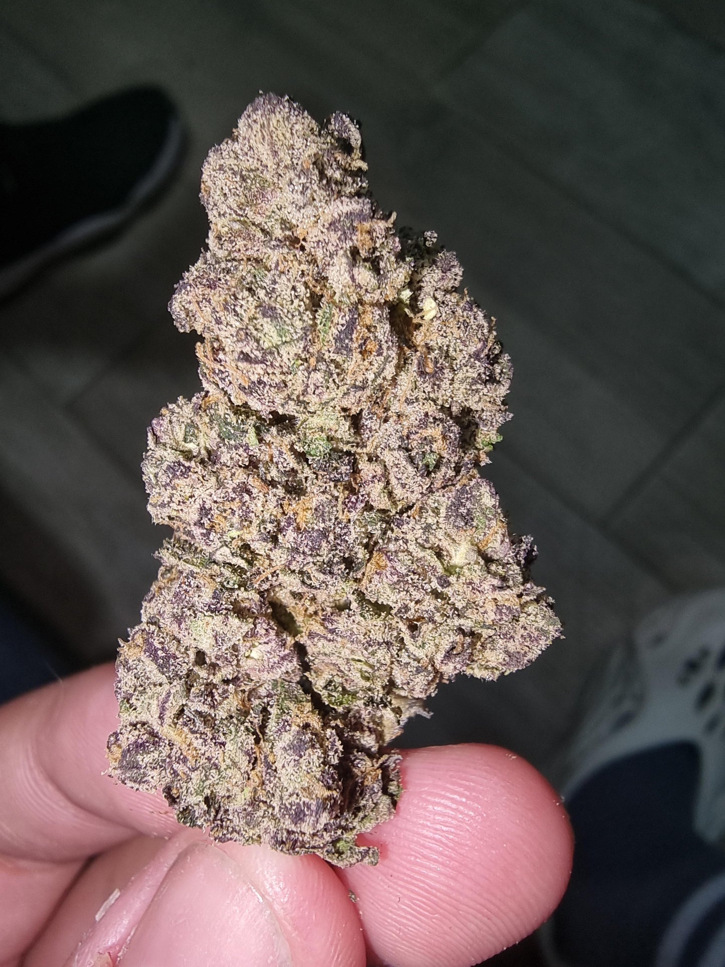 The Holy Cream [1 Oz)