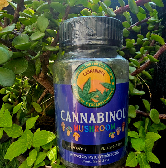 Hongos medicinales psicotrópicos - [ICEBERG/YETI]